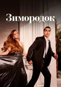 сериал Зимородок 1-3 сезон